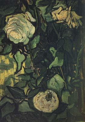 Vincent Van Gogh Roses and Beetle (nn04) China oil painting art